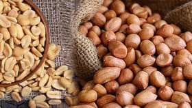 పల్లీలు తింటే బరువు పెరుగుతారా.. తగ్గుతారా..? అసలు నిజం ఏంటంటే..?