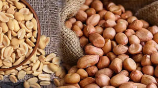 పల్లీలు తింటే బరువు పెరుగుతారా.. తగ్గుతారా..? అసలు నిజం ఏంటంటే..?