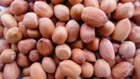 పల్లీలు ఇలా తింటే ప్రమాదమే.. పొరపాటున కూడా ఈ తప్పులు చేయకండి!