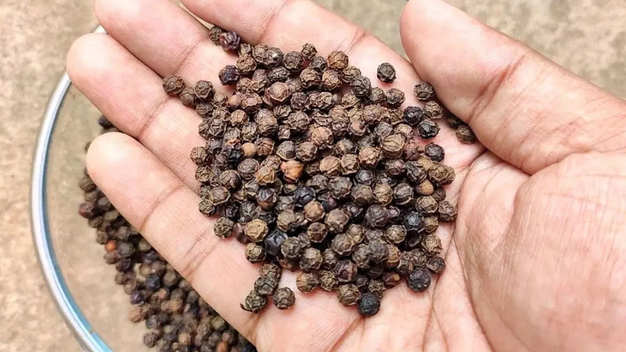 నీటి పరీక్ష.. 
నల్ల మిరియాలు కల్తీ అయ్యాయో లేదో తెలుసుకోవడానికి, మీరు నీటి పరీక్ష చేయవచ్చు. ఒక గ్లాసు నీటిలో కొంచెం మిరియాలు కలపండి. మిరియాలు మునిగిపోతే, అవి నిజమైనవి. అయితే, అవి తేలుతుంటే, అవి బొప్పాయి గింజలతో కల్తీ అయి ఉండవచ్చు.