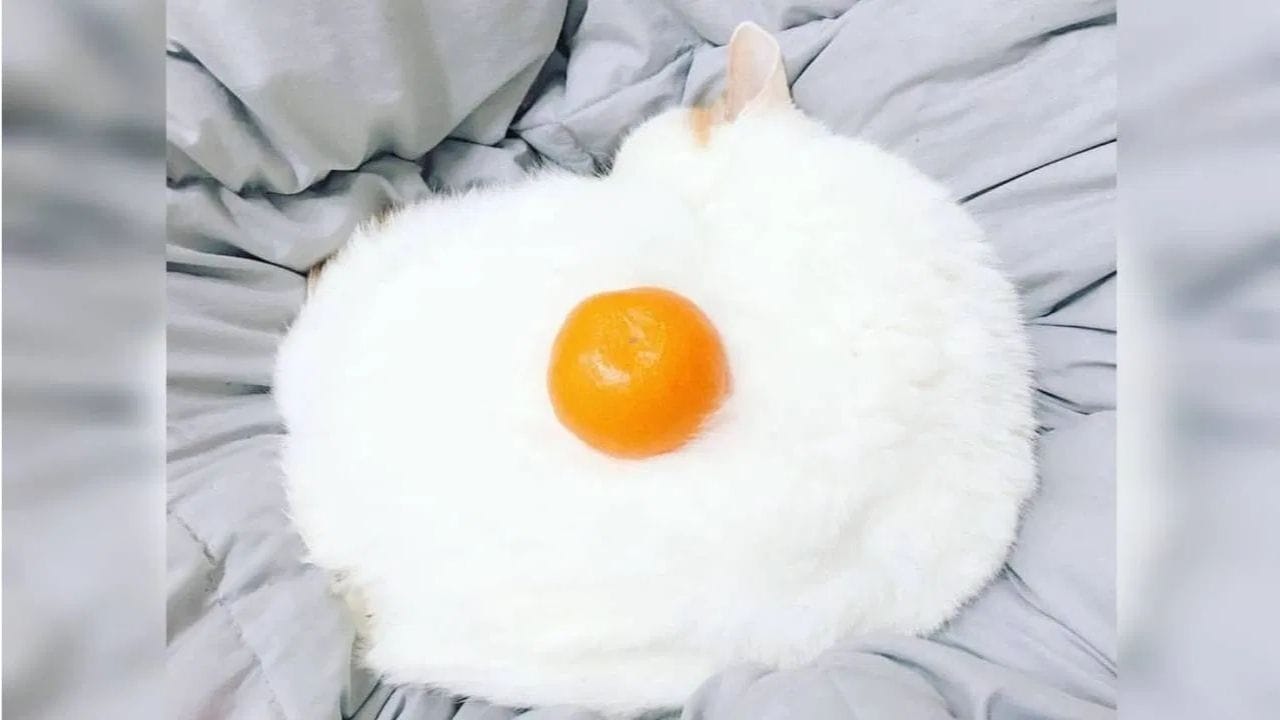 Personality Test : ఈ చిత్రంలో మీరు దేన్నైతే మొదట చూస్తారో అదే మీ వ్యక్తిత్వం.. మీరెలాంటి వారో చెక్‌చేసుకోండి