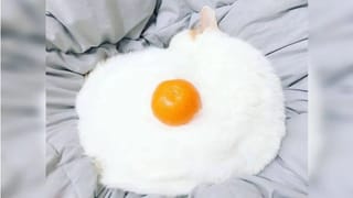 తడిపిన పిండిని ఫ్రిజ్‌లో పెడుతున్నారా.. ఎప్పటి వరకు సేఫ్‌గా ఉంటుందో మీకు తెలుసా?