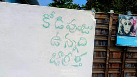 కోడికి కర్మకాండలు చేసి.. శిలాఫలకం నిర్మించిన కుటుంబం