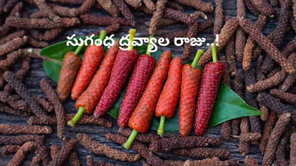 ఈ అందమైన మసాలా సుగంధ ద్రవ్యాల రాజు..! ఆ సమస్యల పాలిట లక్ష్మణరేఖ..!!