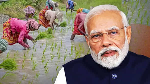 వరి సాగులో చైనాను అధిగమించిన భారత్.. కొత్తగా 184 పంట రకాలు ఆవిష్కరణ.. త్వరలోనే..