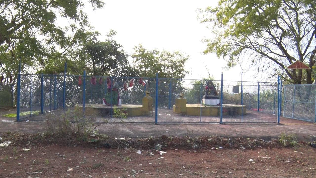 సమ్మక్కను వెతుక్కుంటూ వెళ్లిన అనుచరులకు ఆమె జాడ కనిపించలేదు. కానీ ఆ ప్రాంతంలో ఒక పుట్టదగ్గర  పసుపు,కుంకుమలు గల భరణి లభించింది. దానిని సమ్మక్కగా భావించి అప్పటినుంచి ప్రతి రెండేళ్లకోసారి మాఘశుద్ద పౌర్ణమి రోజున సమ్మక్క జాతరను అత్యంత భక్తిశ్రద్ధలతో జరుపుకుంటారు. అయితే..ఇప్పుడు పొలాస గ్రామం పై చర్చ సాగుతుంది. సమ్మక్క పెరిగిన ప్రాంతంలో. విగ్రహాలను ఏర్పాటు చేశారు. సమ్మక్క, సారలమ్మలకు ఎక్కడ విగ్రహాలు ఉండవు, కానీ ఈ ప్రాంతంలో మాత్రం విగ్రహాలు ఏర్పాటు చేసి ప్రత్యేక పూజలు చేస్తారు.