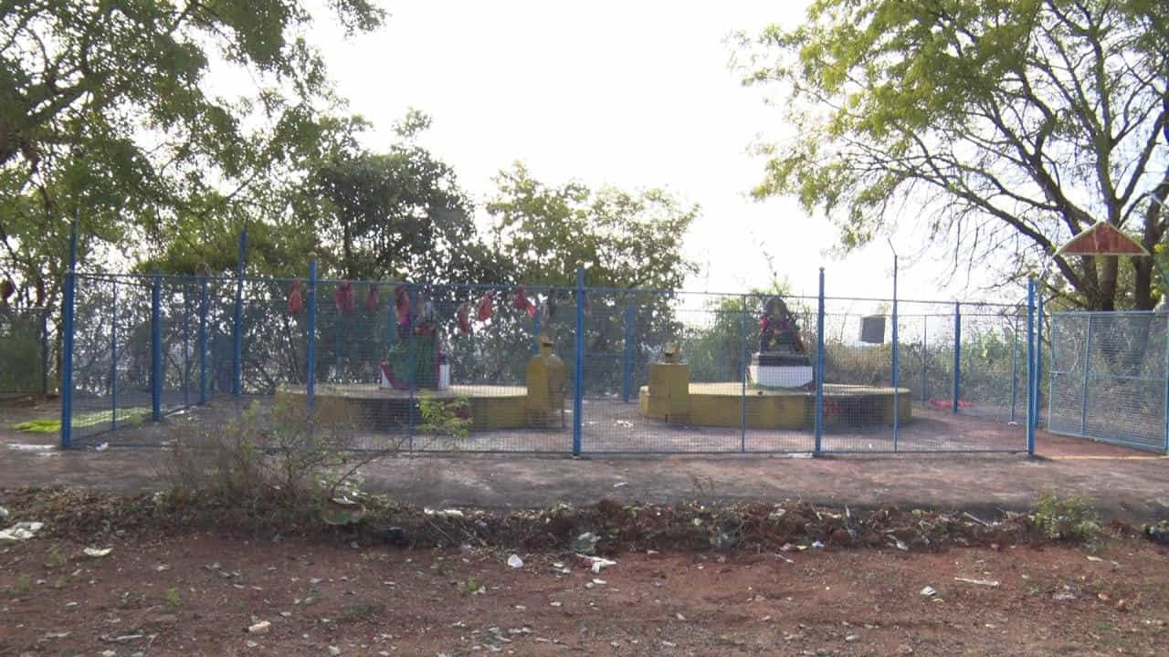సమ్మక్కను వెతుక్కుంటూ వెళ్లిన అనుచరులకు ఆమె జాడ కనిపించలేదు. కానీ ఆ ప్రాంతంలో ఒక పుట్టదగ్గర పసుపు,కుంకుమలు గల భరణి లభించింది. దానిని సమ్మక్కగా భావించి అప్పటినుంచి ప్రతి రెండేళ్లకోసారి మాఘశుద్ద పౌర్ణమి రోజున సమ్మక్క జాతరను అత్యంత భక్తిశ్రద్ధలతో జరుపుకుంటారు. అయితే..ఇప్పుడు పొలాస గ్రామం పై చర్చ సాగుతుంది. సమ్మక్క పెరిగిన ప్రాంతంలో. విగ్రహాలను ఏర్పాటు చేశారు. సమ్మక్క, సారలమ్మలకు ఎక్కడ విగ్రహాలు ఉండవు, కానీ ఈ ప్రాంతంలో మాత్రం విగ్రహాలు ఏర్పాటు చేసి ప్రత్యేక పూజలు చేస్తారు.