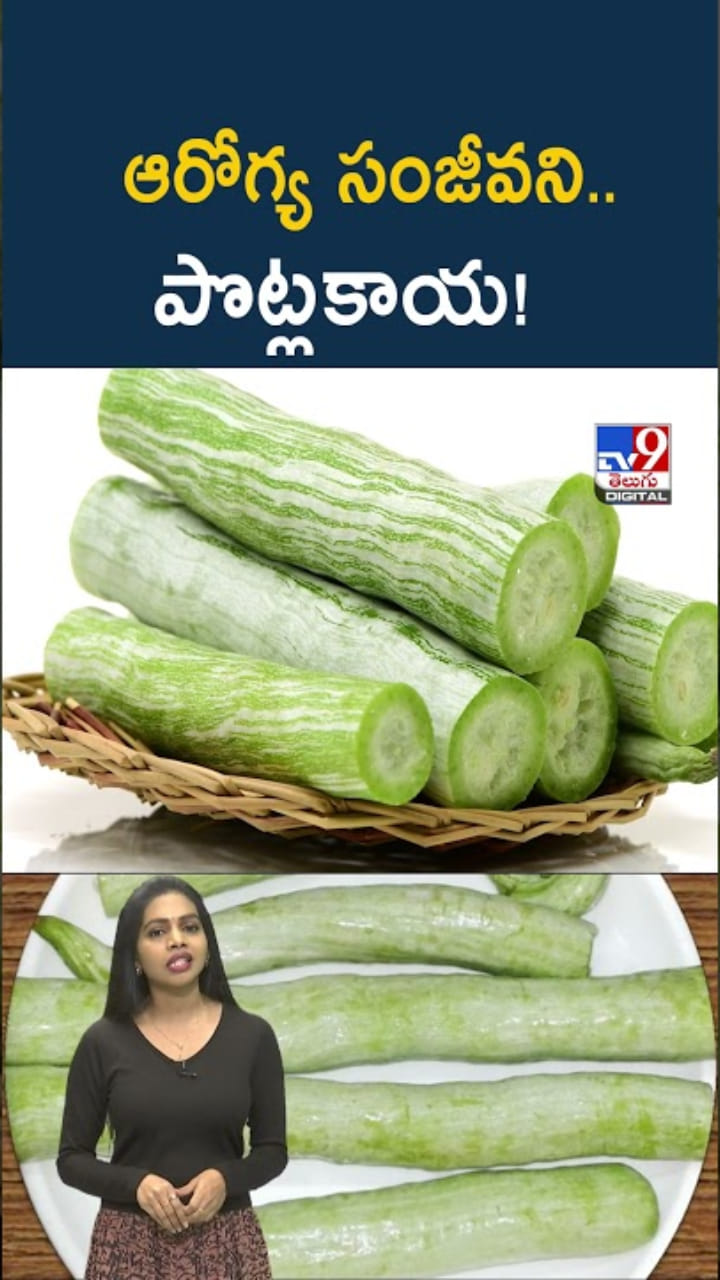 Snake Gourd: ఆరోగ్య సంజీవని.. పొట్లకాయ తింటే బోలెడు హెల్త్ బెనిఫిట్స్