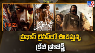 బిగ్ బ్రేక్ కోసం ఎదురుచూస్తున్న షాలిని పాండే