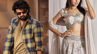 Prabhas : తొలి సినిమాతోనే క్రేజ్.. కట్ చేస్తే.. ప్రభాస్‏ను అన్న అని పిలిచిన ఏకైక హీరోయిన్..