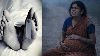 Viral Video: నుదుటిపై లవ్‌ సింబల్‌.. 2300 మైళ్ల శాంతియాత్ర.. ఇండియన్‌ స్ట్రీట్‌ డాగ్‌ అలోకాకు అమెరికన్లు ఫిదా