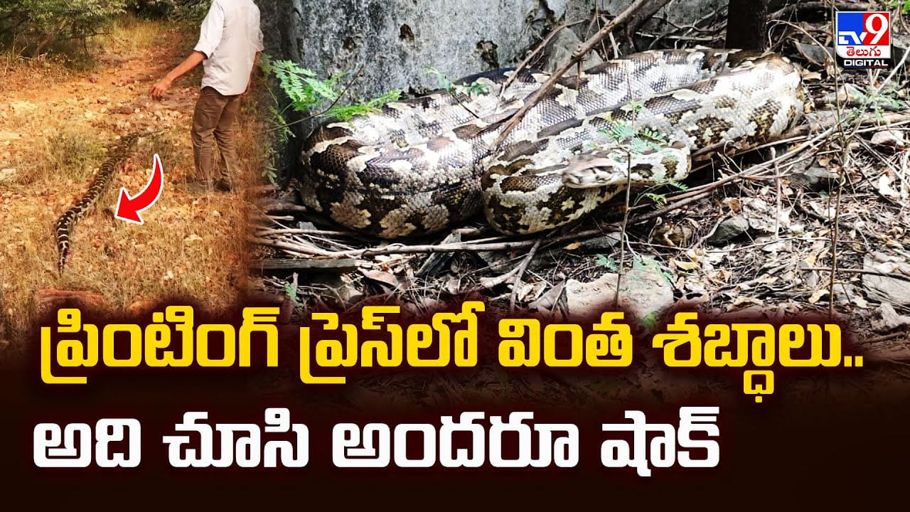 ప్రింటింగ్ ప్రెస్లో వింత శబ్ధాలు.. అది చూసి అందరూ షాక్ ప్రింటింగ్ ప్రెస్లో వింత శబ్ధాలు.. అది చూసి అందరూ షాక్