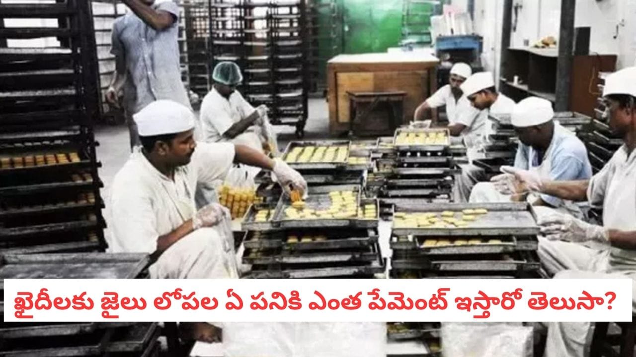 Prison Life: హై-ప్రొఫైల్ నిందితులకు జైలు లోపల ఎంత పేమెంట్ ఇస్తారో తెలుసా?