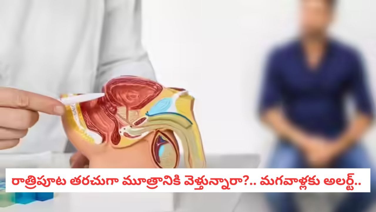 Prostate Cancer: మగవారిలో ఈ లక్షణాలు.. ప్రోస్టేట్ క్యాన్సర్ సైలెంట్ వార్నింగ్ కావచ్చు!