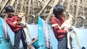 ఆడుకున్న కుక్కే బాలుడి ఆయువు తీసింది..రేబిస్ సోకి..