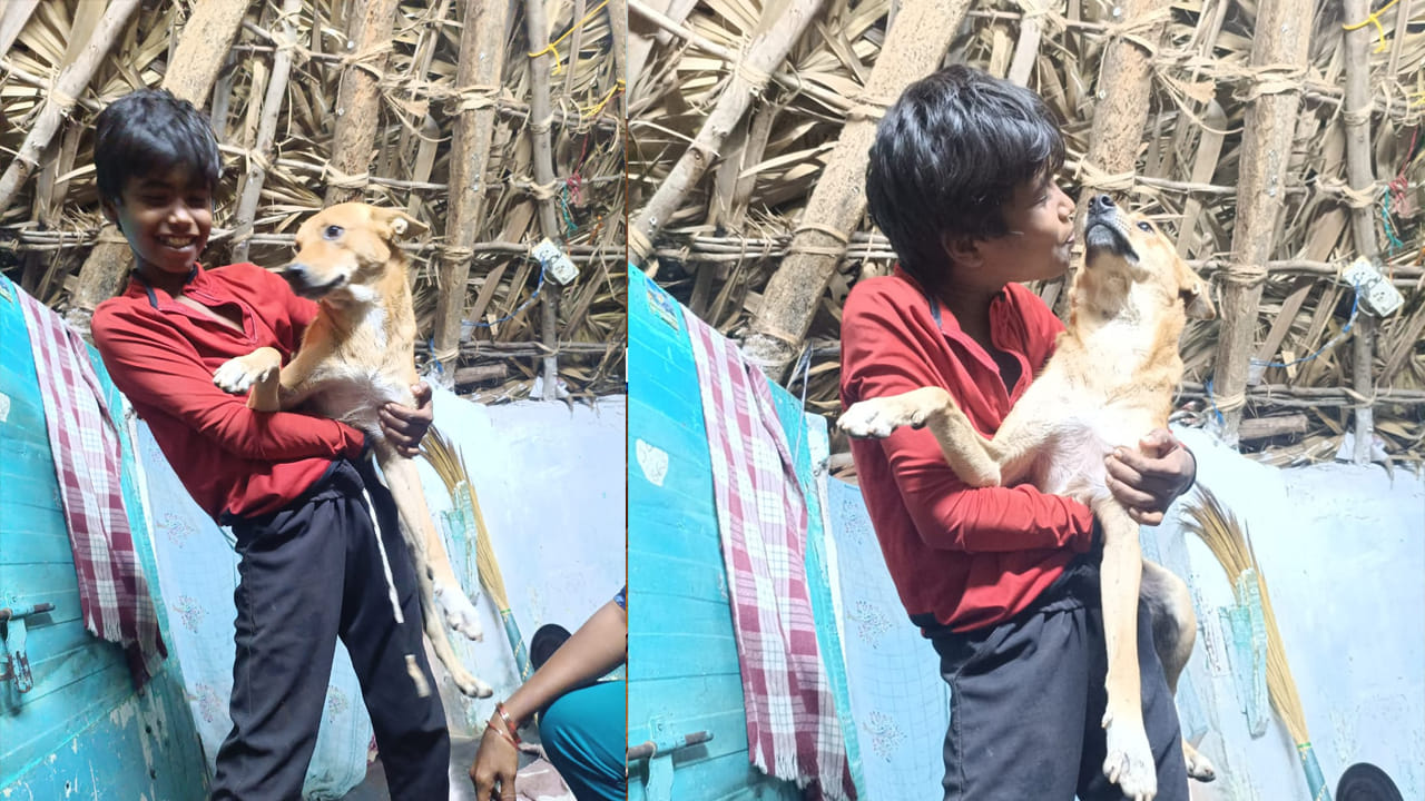 Andhra: ఆడుకున్న కుక్కే చిన్నోడి మరణానికి కారణమైంది.. అత్యంత విషాదకర మరణం..