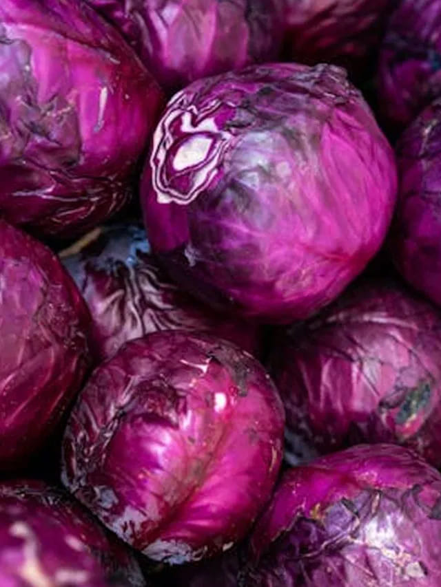 ఊదా రంగు క్యాబేజీ ఎప్పుడైనా తిన్నారా.. దీని లాభాలు తెలిస్తే నోరెళ్లబెడతారు!