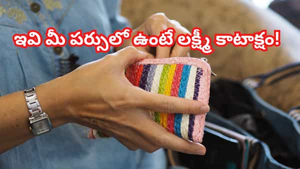మీ పర్సులో ఈ 5 వస్తువులు ఉంటే లక్ష్మీ కాటాక్షం..! ఇక మీకు డబ్బే డబ్బు!!