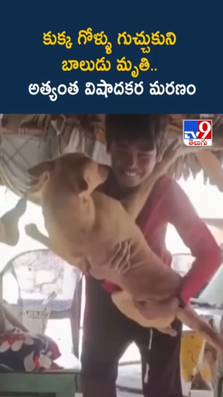 అయ్యో పాపం.. కుక్క గోళ్ళు గుచ్చుకుని రేబిస్‌తో బాలుడు..
