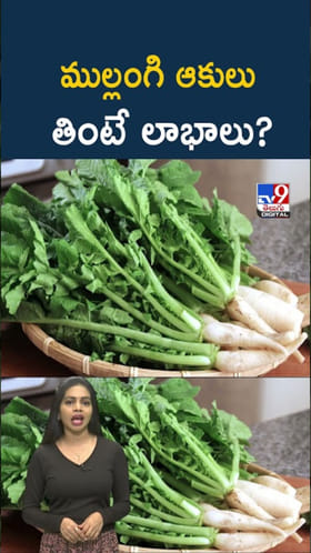 Radish: ముల్లంగి ఆకులను అస్సలు పారేయకండి.. ఎన్ని లాభాలో తెలిస్తే..
