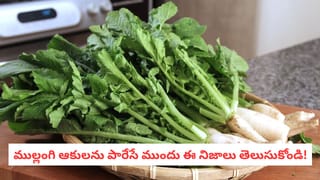 Turmeric Benefits: పాలు Vs నీళ్లు.. పసుపు దీంతో కలిస్తే పవర్ఫుల్ మెడిసిన్! ఆ సమస్యలకు రామబాణం అని తెలుసా?