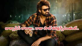 ధురంధర్ సినిమాను వెనక్కు నెట్టింట రాజా సాబ్..