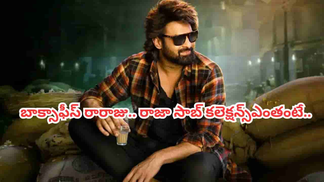 Raja Saab : బాక్సాఫీస్ రారాజు.. తొలి రోజే రాజా సాబ్ సంచలనం.. ఎన్నో కోట్లు వచ్చాయంటే..