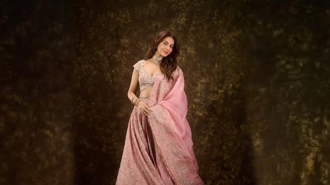 ఇక ఒకప్పుడు స్టార్ హీరోల సరసన వరసగా అవకాశాలు అందుకుంటూ దూసుకెళ్లింది. కానీ తర్వాత తెలుగులో అవకాశాలు తగ్గడంతో బాలీవుడ్ చక్కేసింది. అక్కడ కూడా వరసగా సినిమాలు చేస్తూ మంచి గుర్తింపు సంపాదించుకుంది. అంతే కాకుండా అక్కడే బాలీవుడ్ నిర్మాత జాకీ భగ్నానీని వివాహం చేసుకుంది.