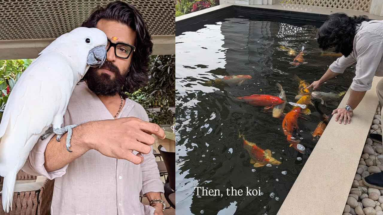  అటు రామ్ చరణ్ కూడా తన ఇంట్లో జరిగిన బిర్యానీ పార్టీ ఫొటోలను సోషల్ మీడియాలో షేర్ చేశాడు. దీంతో ఇవి కాస్తా నెట్టింట వైరల్ గా మారాయి. 
