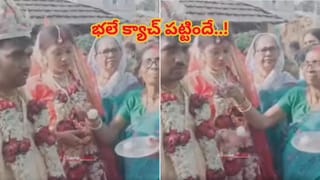 Viral Video: ఎంతకు తెగించార్రా.. రీల్స్ పిచ్చితో ప్రాణాలు తీస్తారా.. వందే భారత్ ట్రైన్‌కు అడ్డంగా..