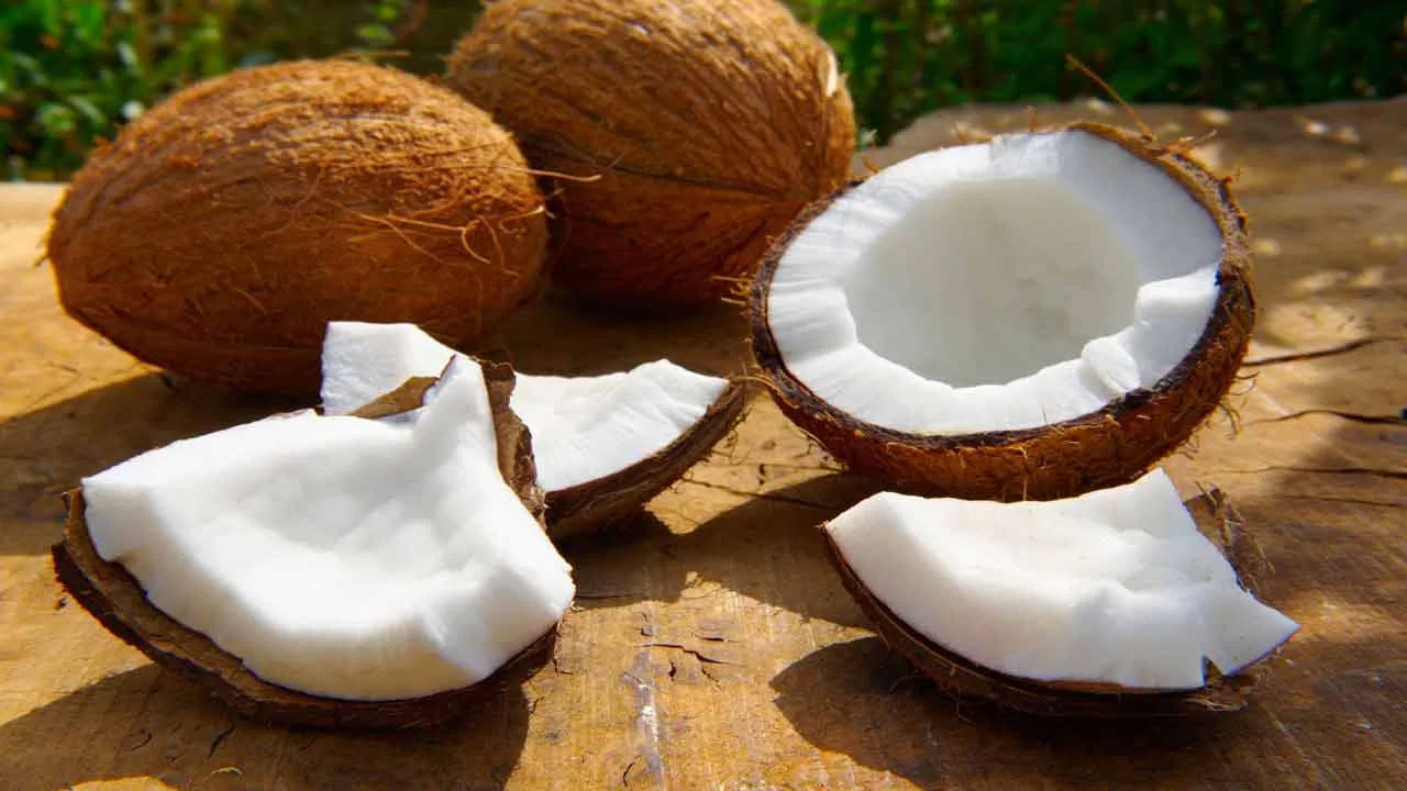 పచ్చి కొబ్బరిలో మీడియం చైన్ ట్రైగ్లిజరైడ్స్ అనే ఆరోగ్యకరమైన కొవ్వులు ఉంటాయి. ఇవి శరీరానికి తక్షణ శక్తిని ఇస్తాయి. వీటిని తిన్నప్పుడు కడుపు నిండినట్లుగా అనిపిస్తుంది, దీనివల్ల మాటిమాటికీ ఆకలి వేయదు.
అధిక బరువు తగ్గాలనుకునే మధుమేహ వ్యాధిగ్రస్తులకు ఇది ఒక అద్భుతమైన ఎంపిక.