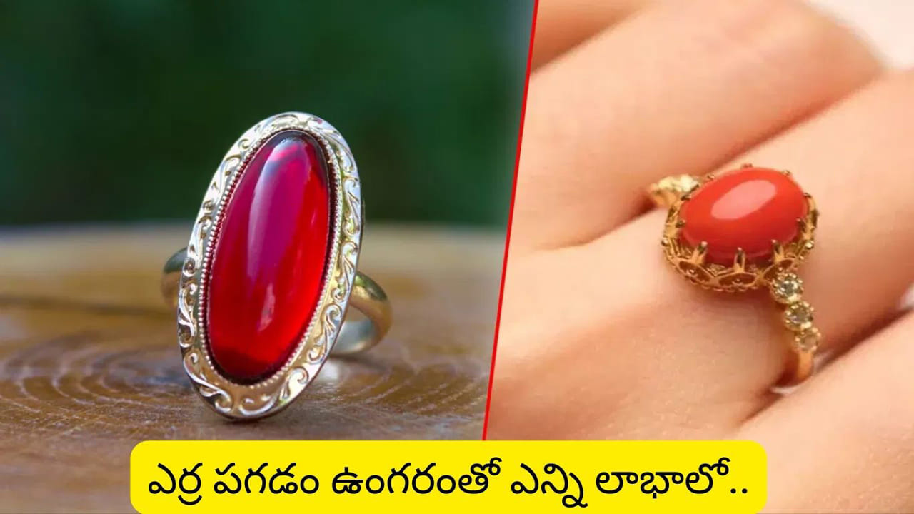 హిందూ మతంలో ఉంగరాలు ధరించడం అనేది ఒక సంప్రదాయం. అయితే, ఒక్కో ఉంగరానికి ఒక్కో ఫలితం ఉందని జ్యోతిష్య శాస్త్రం చెబుతుంది. వేద జ్యోతిషశాస్త్రంలో పగడాన్ని అంగారక గ్రహంతో సంబంధం ఉన్న అత్యంత శక్తివంతమైన రత్నంగా పరిగణిస్తారు. ఇది బలం, ధైర్యం, చురుకుదనం, పోరాట స్ఫూర్తిని సూచిస్తుంది. జాతకంలో అంగారక గ్రహం బలహీనంగా ఉంటే లేదా దుష్ట గ్రహాల ప్రభావంలో ఉంటే.. భయం, అధిక కోపం, శక్తి లేకపోవడం, వైవాహిక లేదా వృత్తిపరమైన సమస్యలు ఎదుర్కొంటారని నమ్ముతారు. పగడపు రాయి అనేది సముద్ర జీవుల ద్వారా ఉత్పత్తి చేయబడిన సహజ రత్నం. ఇది ప్రధానంగా మధ్యధరా సముద్ర ప్రాంతంలో కనిపిస్తుంది. దీని రంగు లేత ఎరుపు, ముదురు ఎరుపు ఉంటుంది. మంచి నాణ్యత గల పగడపు రాయి దృఢంగా ఉంటుంది. మృదువైన ఉపరితలం కలిగి ఉంటుంది. నల్లటి మచ్చలు లేదా పగుళ్లు లేకుండా సహజంగా కనిపిస్తుంది. ఇది గాజులాగా మెరుస్తుంది.. ఇది నిజమైన పగడపు లక్షణం.