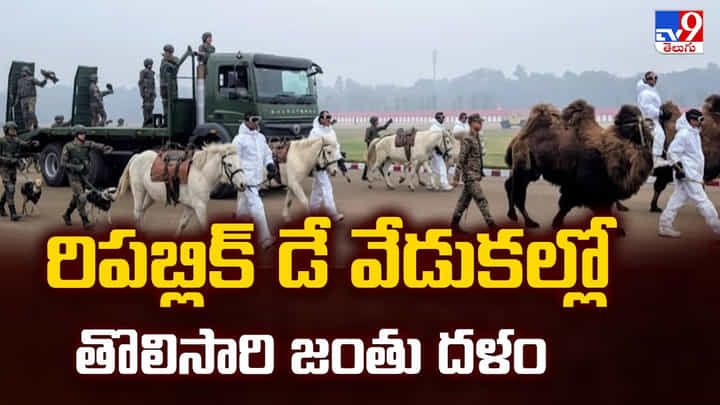 రిపబ్లిక్ డే వేడుకల్లో తొలిసారి జంతు దళం రిపబ్లిక్ డే వేడుకల్లో తొలిసారి జంతు దళం