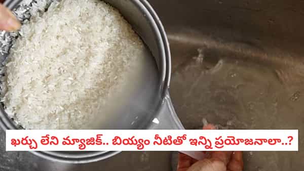 Rice Water: బియ్యం కడిగిన నీటిని పారబోస్తున్నారా? ఈ సీక్రెట్ తెలిస్తే చుక్క నీరు కూడా వదలరు!