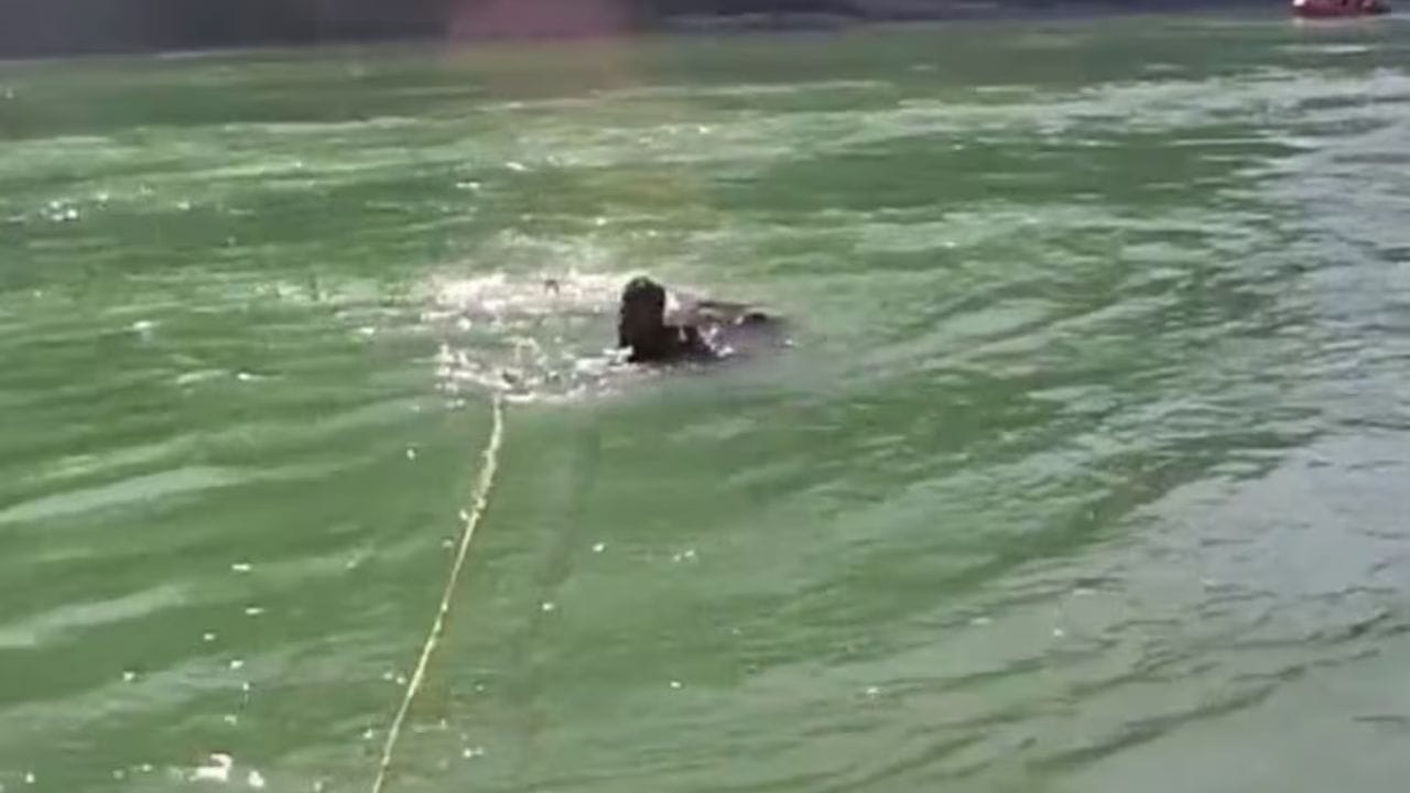 గంగా నదిలో కొట్టుకుపోతున్న పర్యాటకుడు.. రాఫ్టింగ్ గైడ్‌ల రక్షణ.. వీడియో వైరల్‌