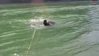 Viral Video: ఇది కదా స్ట్రాటజీ అంటే.. మ్యాగీ అమ్మి ఒక్కరోజూలో రూ.21వేల సంపాదించిన యువకుడు