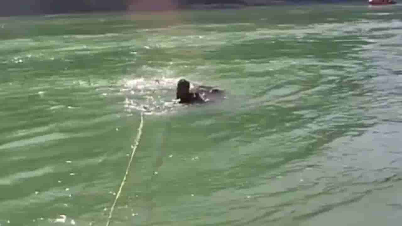 గంగా నదిలో కొట్టుకుపోతున్న పర్యాటకుడు.. రాఫ్టింగ్ గైడ్ల రక్షణ.. వీడియో వైరల్