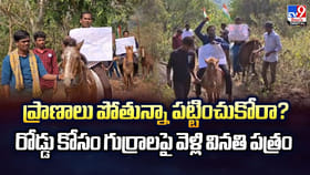 ప్రాణాలు పోతున్నా పట్టించుకోరా ??