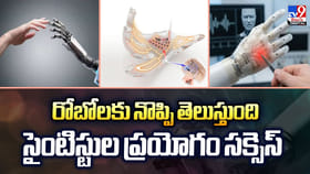 రోబోలకు నొప్పి తెలుస్తుంది.. సైంటిస్టుల ప్రయోగం సక్సెస్‌