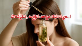 ఈ మొక్క మీఇంట్లో ఉంటే ఒక్క వెంట్రుక కూడా రాలదు! ఒత్తైన జుట్టుకోసం