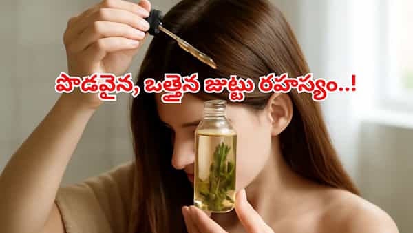 ఈ మొక్క మీ ఇంట్లో ఉంటే తలలో ఒక్క వెంట్రుక కూడా రాలదు..! పొడవైన, ఒత్తైన జుట్టు మ్యాజిక్..!!