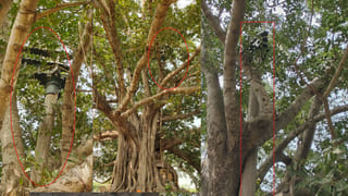 Varahi: ఈ రోజున వారాహి అమ్మవారిని పూజిస్తే మీకు తిరుగుండదు!