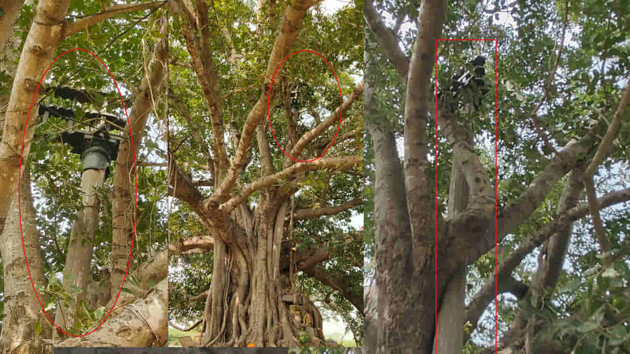 Prakasam district: గుడి శిధిలం... ధ్వజస్థంభం పదిలం...