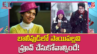 Puri Jagannadh: పూరి జగన్నాథ్‌ కు సరికొత్త ఛాలెంజ్