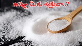ఉప్పు నిజంగా మీ ఆరోగ్యానికి శత్రువా.. అపొహలు కాదు అసలు వాస్తవాలు