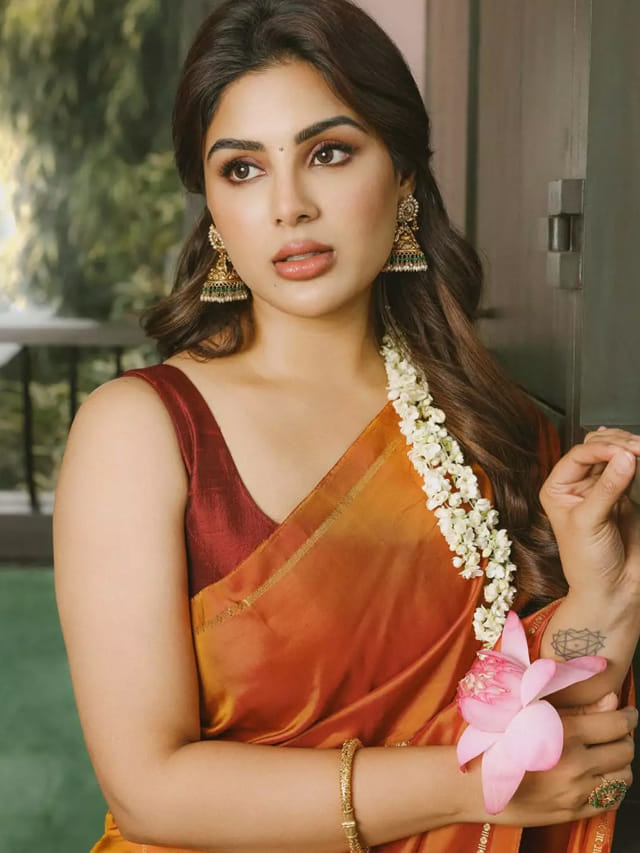 గోల్డెన్ బ్యూటీకి కలిసొచ్చిన లక్కు.. మరో హిట్టు అందుకున్న సంయుక్త..