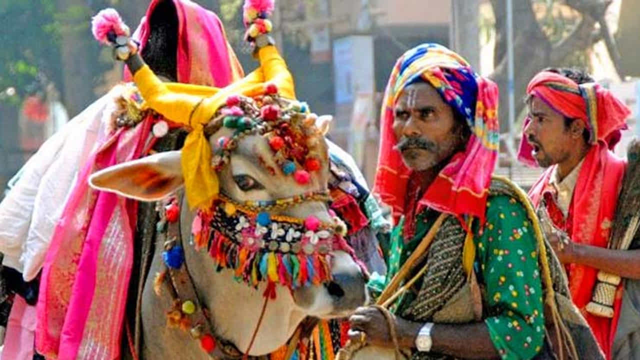 ఇక జనవరి 14, 2026లన ఈ సంక్రాంతి పండుగను జరుపుకుంటారు. పుణ్యకాలం విషయానికి వస్తే, 2 గంటల 32 నిమిషాల పాటు ఇద కొనసాగుతుంది. మహా పుణ్యకాలం 1 గంట, 45 నిమిషాల పాటు ఉంటుంది. మకర సంక్రాంతి ముహూర్తం విషయానికి వస్తే, పంచాంగం ప్రకారం భక్తులందరూ, జనవరి 14 మధ్యాహ్నం3:13 గంటలకు ప్రారంభమై సాయంత్రం 5:45 నిమిషాలకు ముగిసిపోతుంది. ఈ సమయంలోనే మకర సంక్రాంతి ఆచారాలు పాటించాలని చెబుతుంటారు పండితులు.