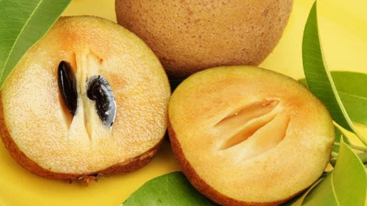  బలమైన ఎముకలు:  సపోటాలో ఉండే  కాల్షియం ఎముకలను బలంగా చేస్తుంది.  క్రమం తప్పకుండా వీటిని రోజూ తీసుకోవడం వల్ల ఎముకలు గట్టి పడతాయి. అంతే కాదు, కణజాల బలాన్ని కూడా సపోటా ప్రోత్సహిస్తుంది.
