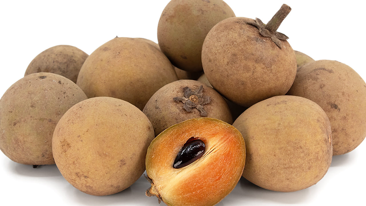 రోగనిరోధక శక్తి: సపోటాలో మన శరీరానికి కావాల్సిన  విటమిన్లు ఉన్నాయి. విటమిన్ సి, ఎ, యాంటీఆక్సిడెంట్లు, రోగనిరోధక శక్తిని పెంచుతాయి. దీని వలన రోజంతా యాక్టీవ్ గా ఉంటారు. అంతే కాదు, చర్మ సమస్యలకు కూడా చెక్ పెడుతుంది. 

 . 