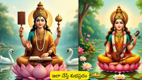 సరస్వతి దేవి ఫోటో లేదా విగ్రహం కొంటున్నారా..? ఈ తప్పులు చేయొద్దు